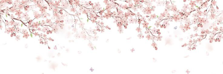 closesamisilla's profile banner image