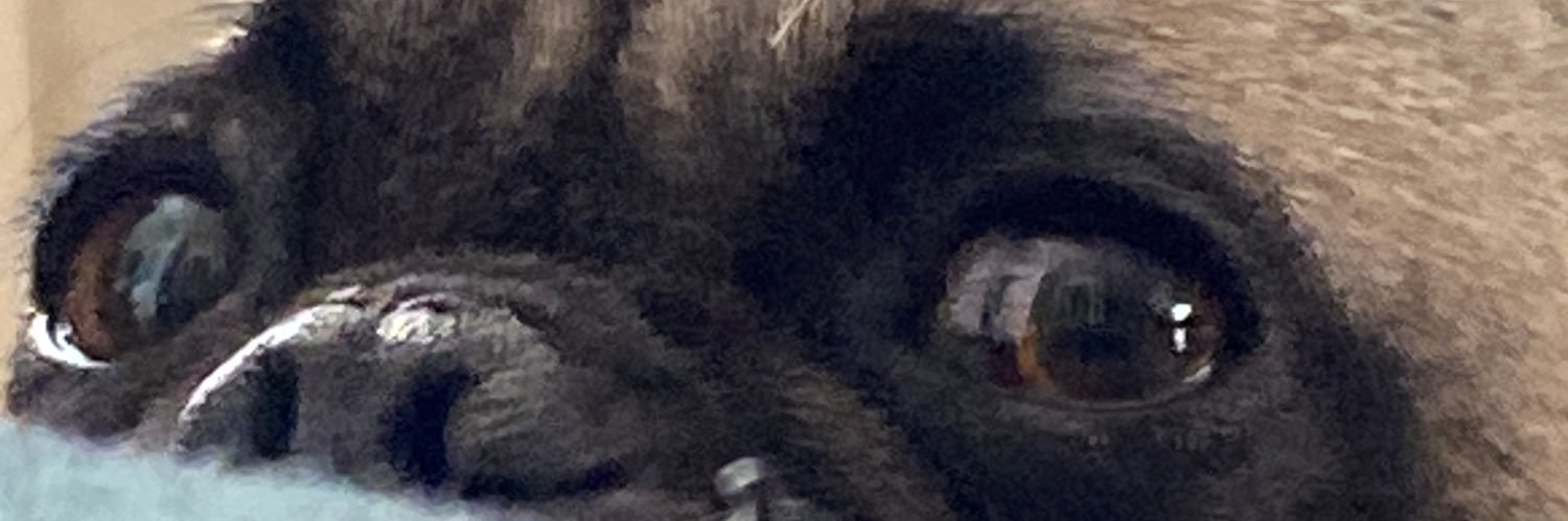 NOODZ! 🐳 (they/she) banner