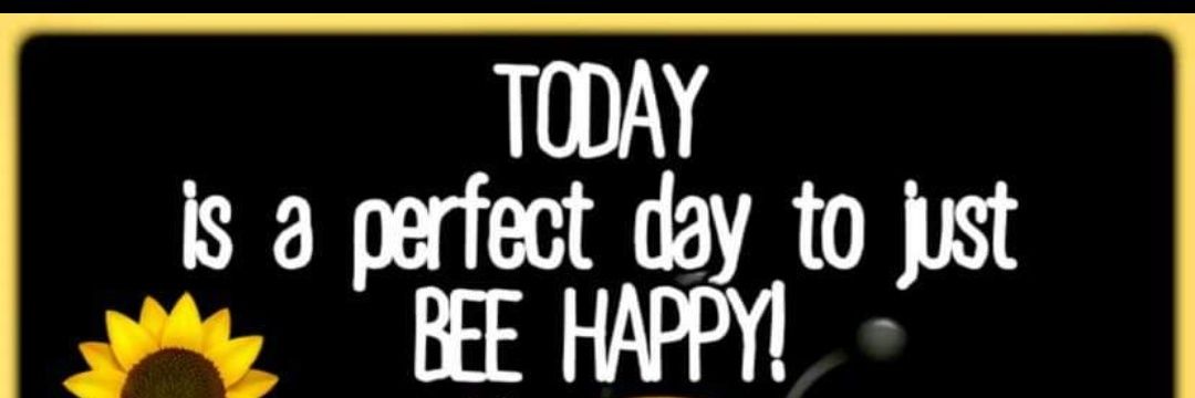 DebraSBarkle's profile banner image