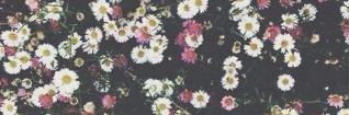 Venyarista banner
