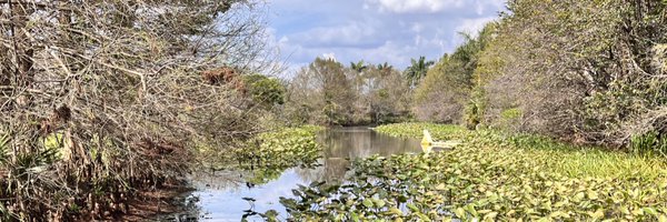 meggadosee Profile Banner