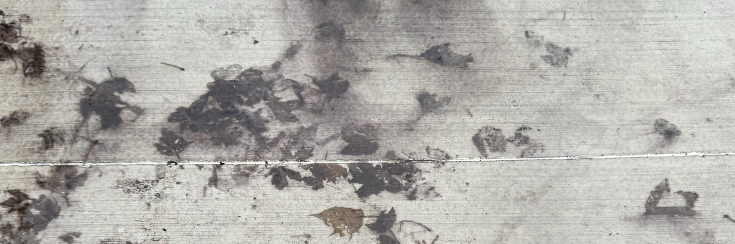 mpint28's profile banner image