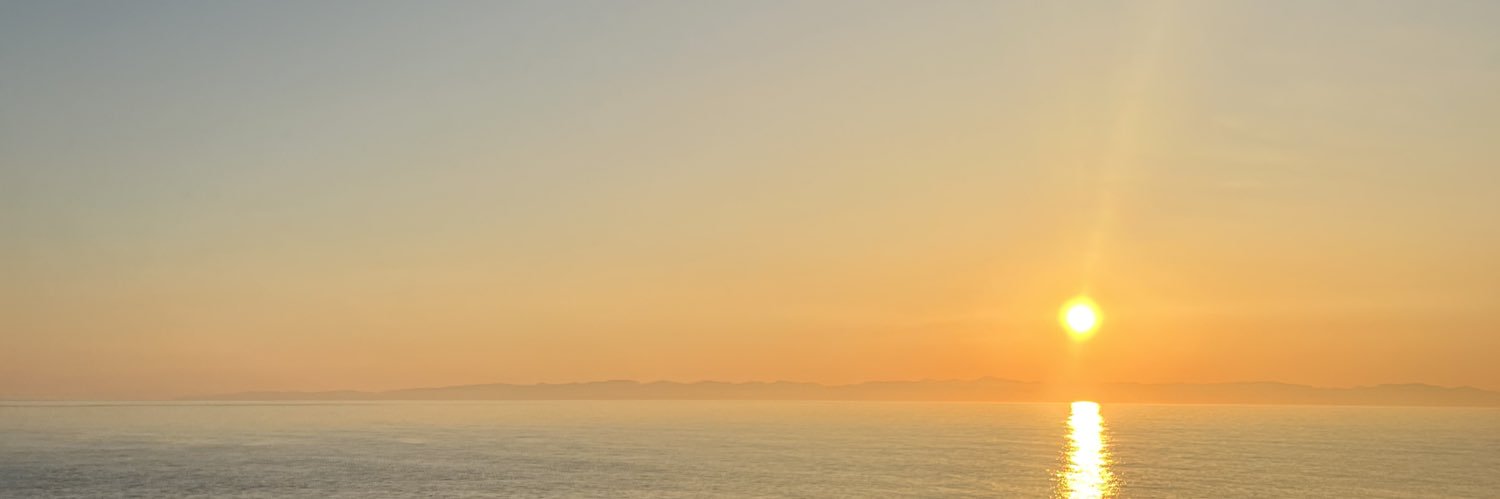 laziy9's profile banner image