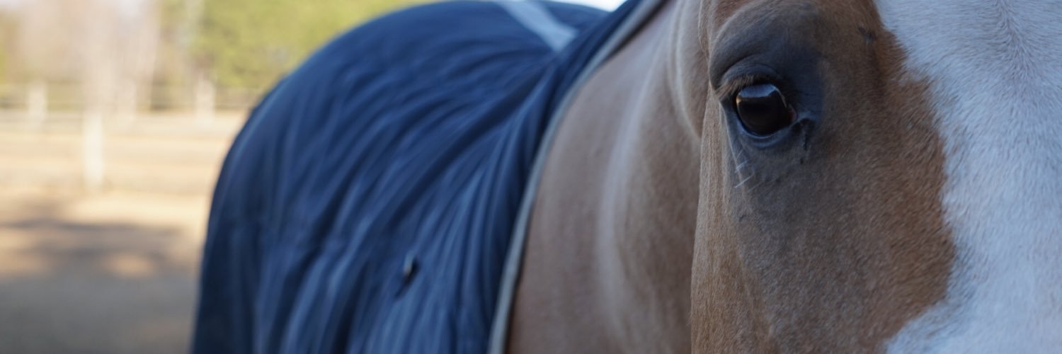 too_bah's profile banner image