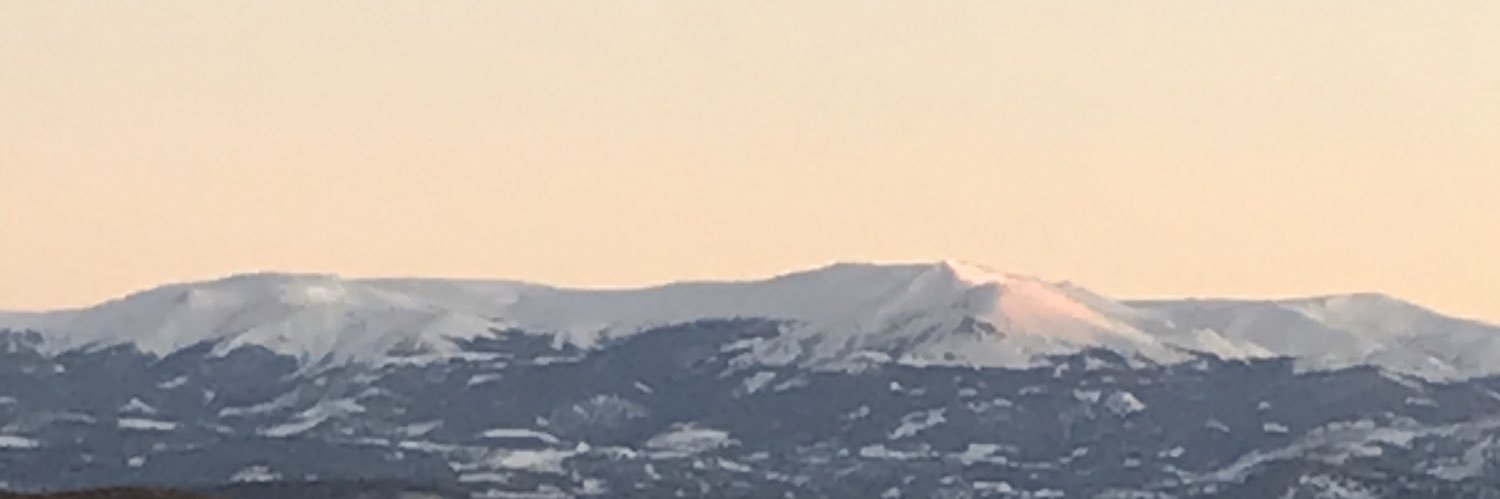 Suarezuarez7's profile banner image