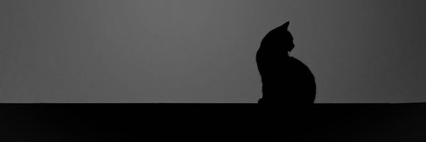 outcatsboot Profile Banner
