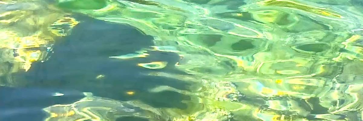 aroniiee's profile banner image