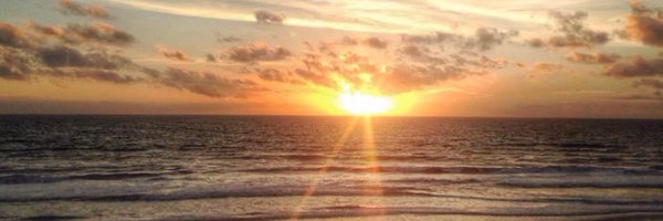 CockapooWinnie Profile Banner