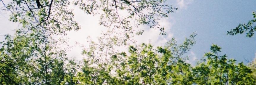 pkrgu_y's profile banner image