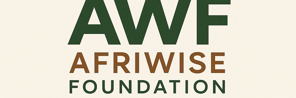 AfriWise Foundation's banner
