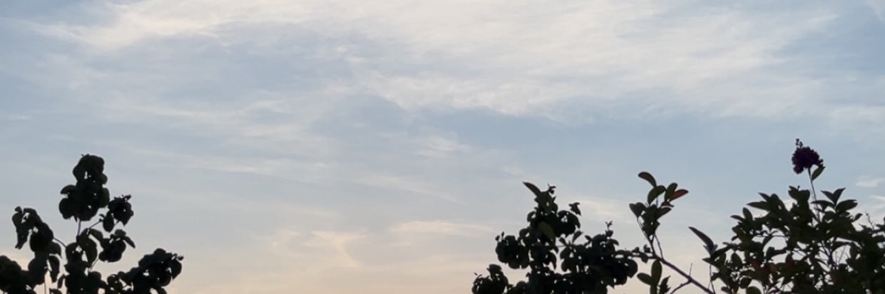Xdiixxi's profile banner image
