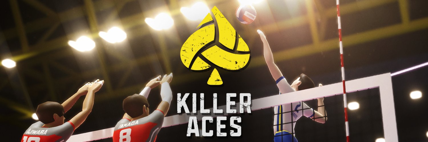 Killer Aces Volleyball banner