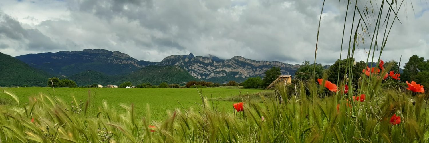 ester_comellas's profile banner image