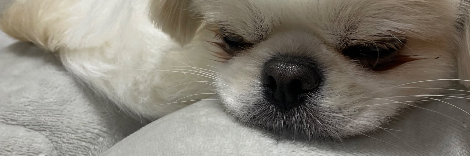 ハピコ banner