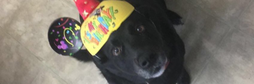 Ethan_Short5's profile banner image