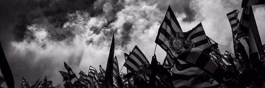 VINI banner