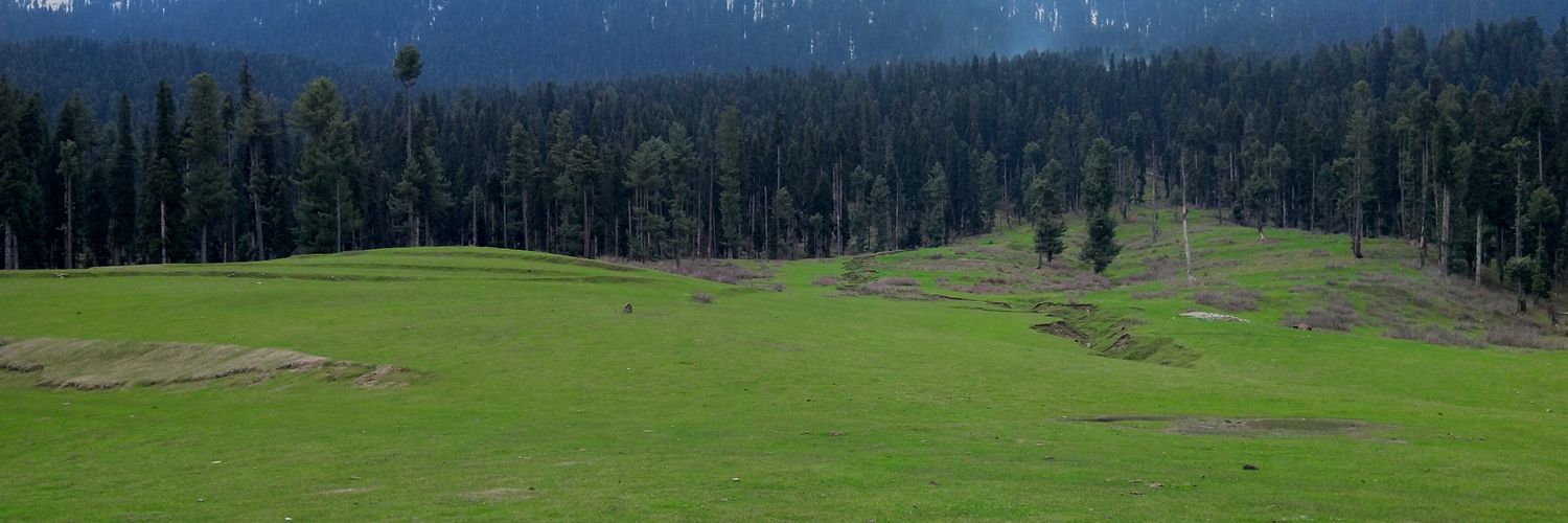 ashrafbotany's profile banner image
