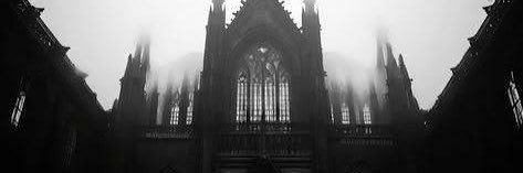 spyder ₊✩౨ৎ˚ banner