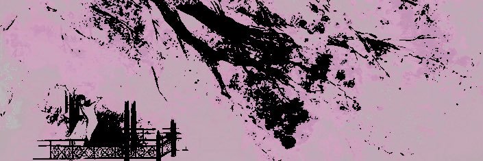 ‍ ‍ ‍‍ ‍ ‍ ‍ 𐙚 ‍. ‍𝓵𝑢𝑐𝑦's banner