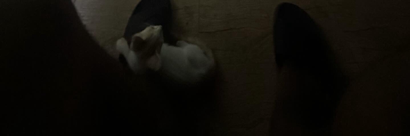 cobby banner