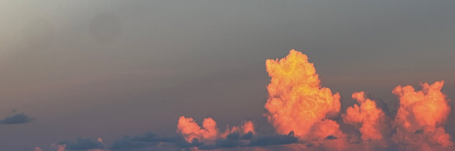 Colorado Exotics 🏔️ banner