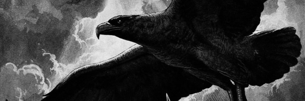 NatEuropa's profile banner image