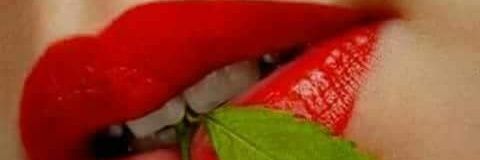 trye_wah's profile banner image