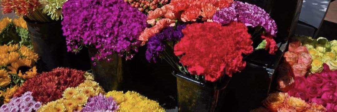 whosrkive's profile banner image