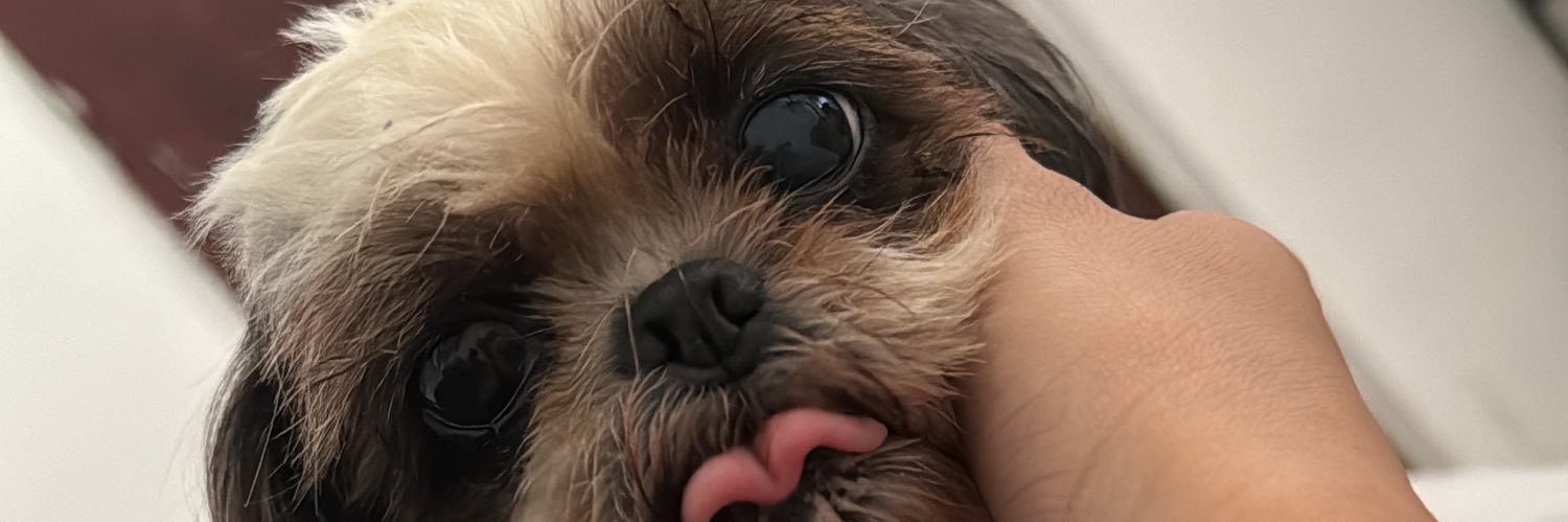 JCLimon98's profile banner image
