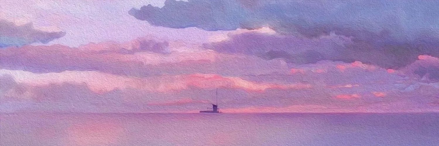 danaasik's profile banner image
