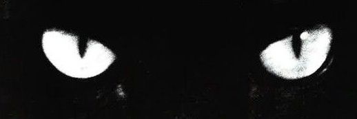 unknownnn banner