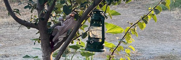 Evra1j Profile Banner