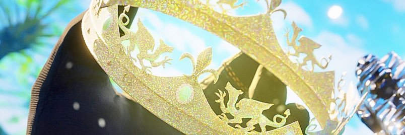 Cat  banner