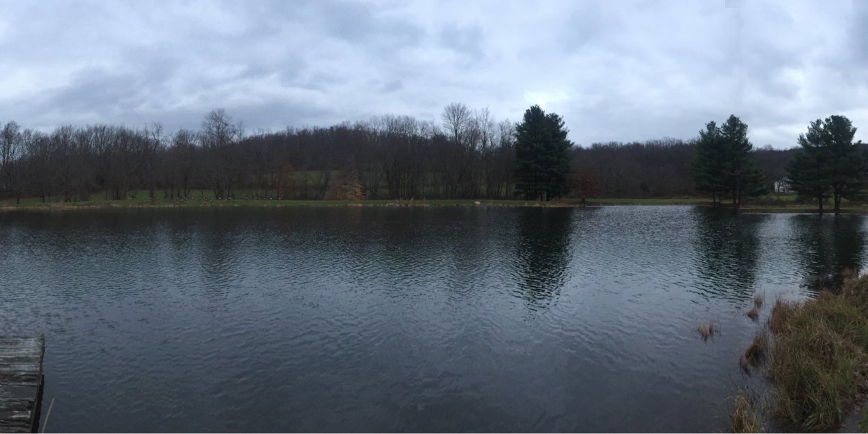 Manan Trivedi, MD banner