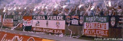 Furia Verde-Oficial banner