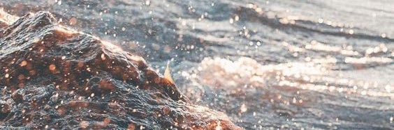 ginnypape's profile banner image