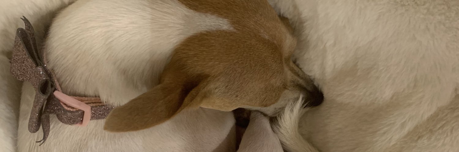 teffy74's profile banner image