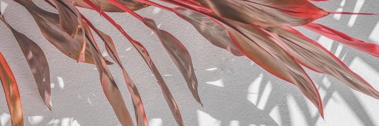 elyanette22's profile banner image