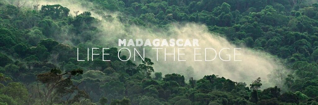 Dr James Borrell banner