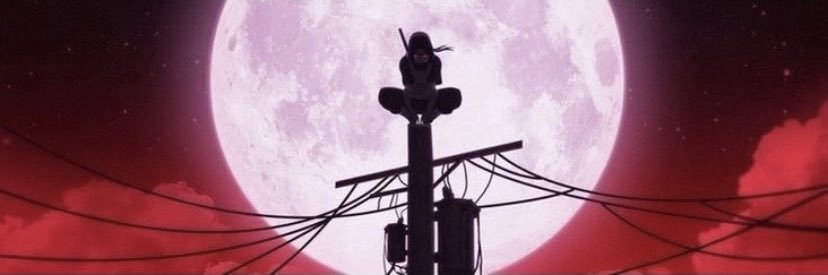 Diegosinz's profile banner image
