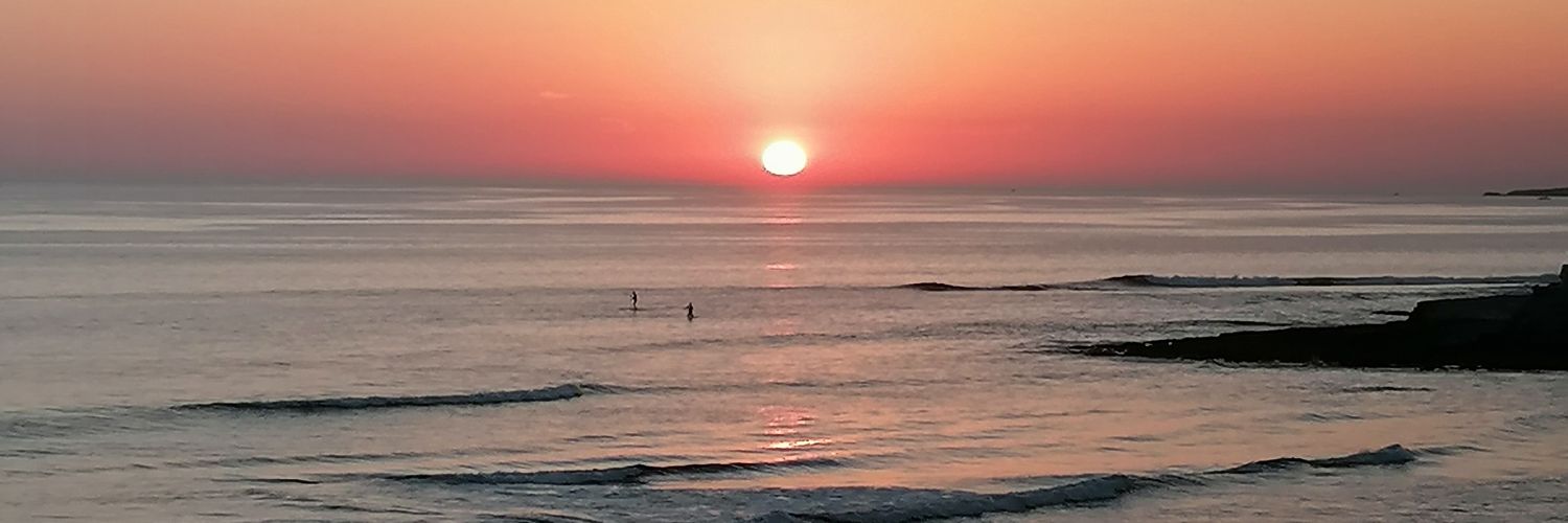 Elisabete Colaço banner