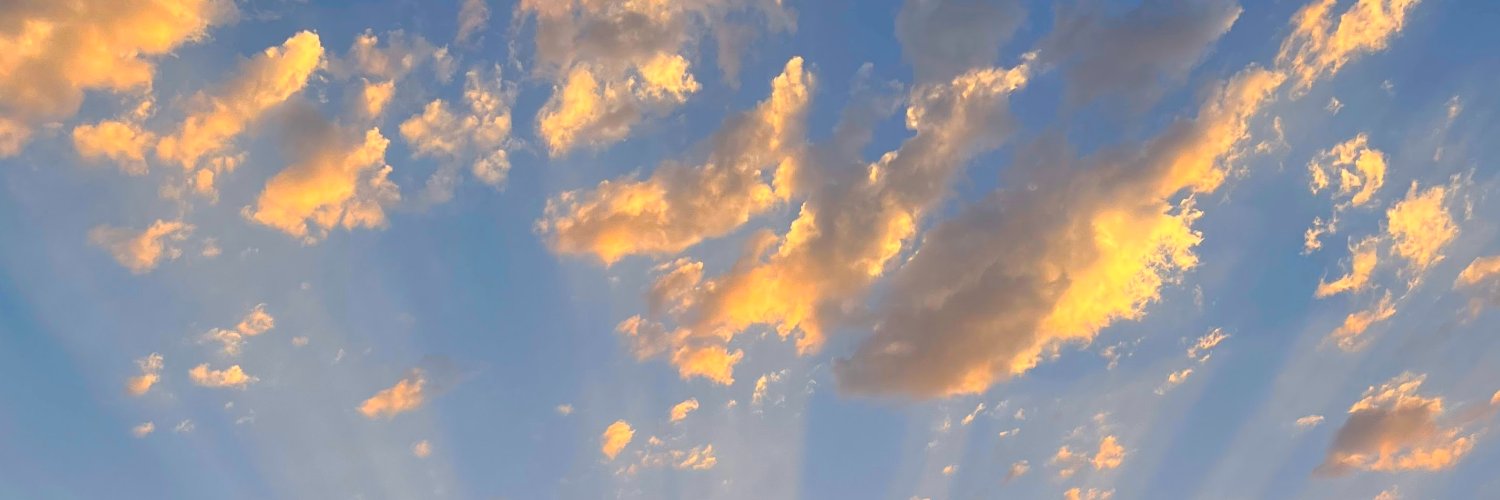wpurchase6's profile banner image