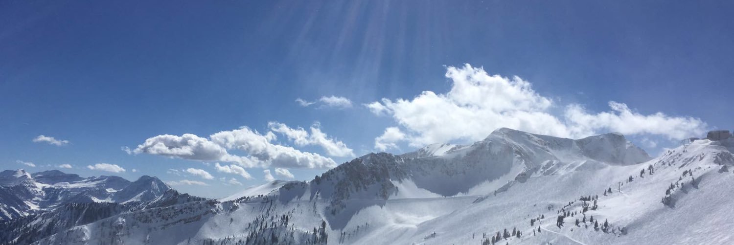 Mike Borozdin ☮️ banner