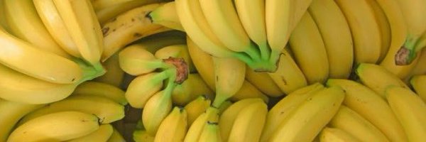 BrowskiMM Profile Banner