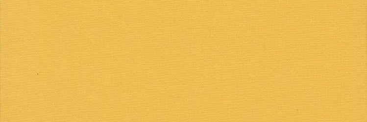 CowboyCarter98's profile banner image