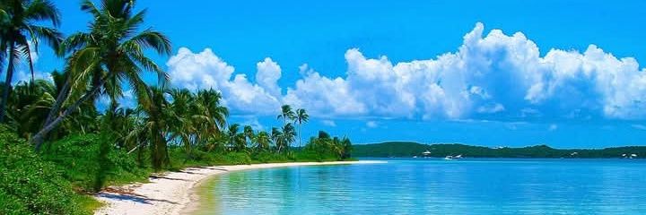 vera65739's profile banner image