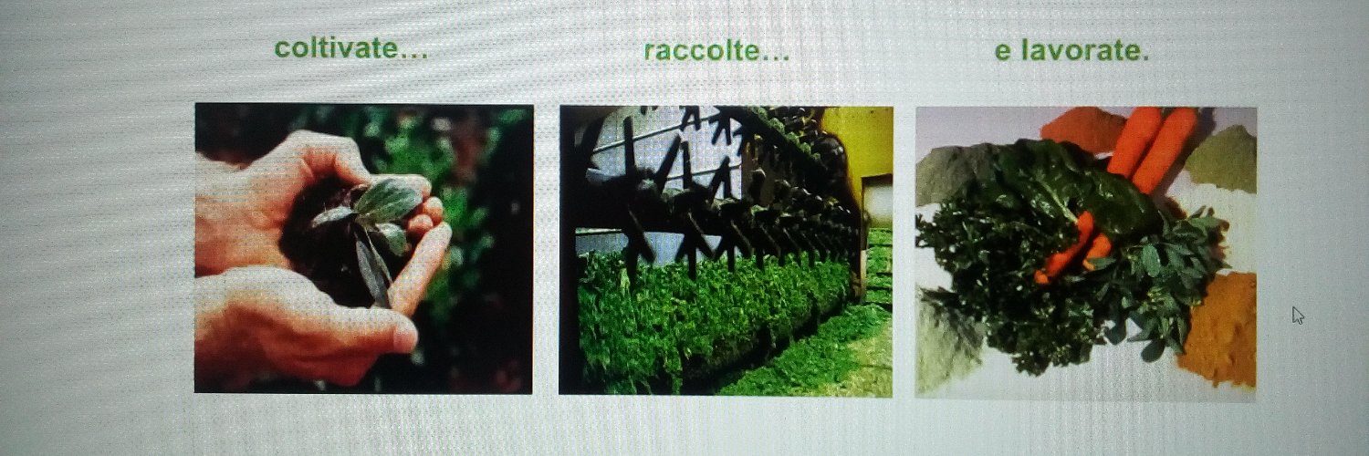 studiolegrotti's profile banner image