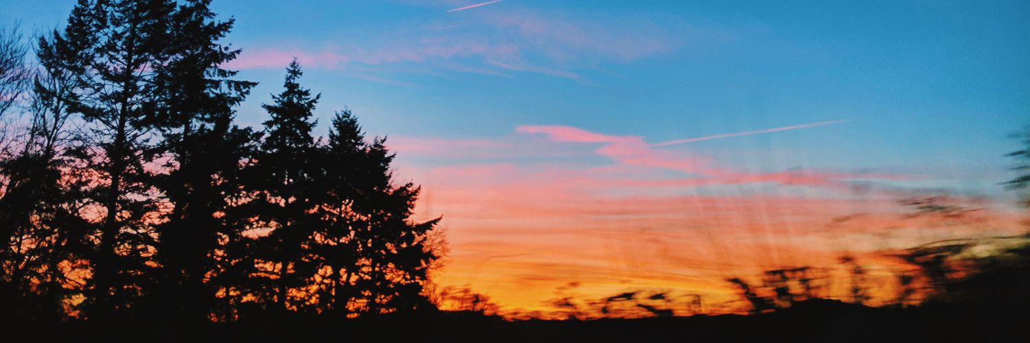 BecPeacock's profile banner image