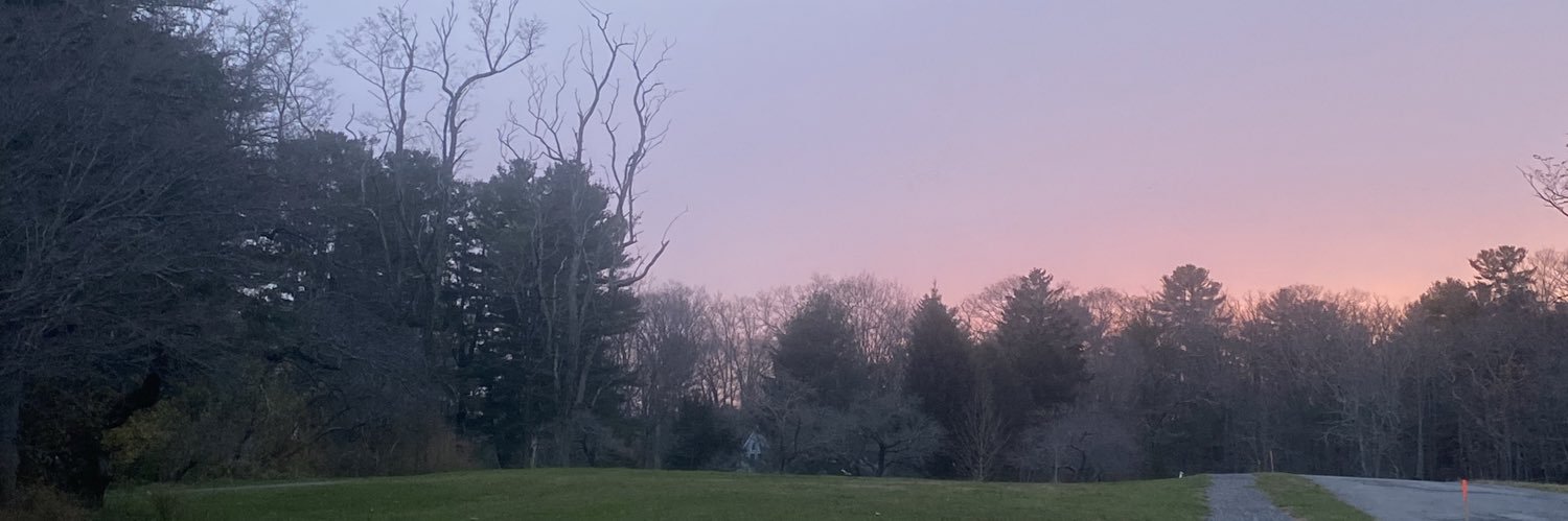 LaraSeaver's profile banner image