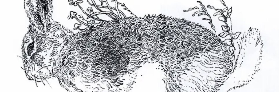 cryptochaser111's profile banner image